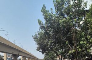 कासारवाडीत सुलक्षणा शिलवंत यांचे जल्लोषात स्वागत , प्रचार दौऱ्यात ऑल इंडिया काँग्रेस कमिटीचे सेक्रेटरी श्रीवर्धन यांचाही सहभाग“