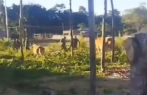 “मणिपूरमधील जिरीबाम येथे पोलिस आणि CRPF सोबतच्या चकमकीत १० संशयित कुकी बंडखोरांचा खात्मा; परिसरात तणाव, संचारबंदी लागू”.