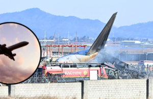 दक्षिण कोरियामधील विमान अपघात: १७९ जणांचा दुर्दैवी मृत्यू, हवाई सुरक्षेवर प्रश्नचिन्ह!