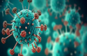 भारतात HMPV व्हायरसचा तिसरा रुग्ण आढळला; अहमदाबादमध्ये २ महिन्यांच्या मुलाला संसर्ग