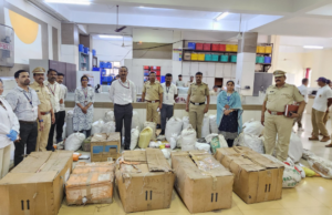 पिंपरी-चिंचवड पोलिसांची मोठी कारवाई; ६८३ किलो गांजाचा नाश